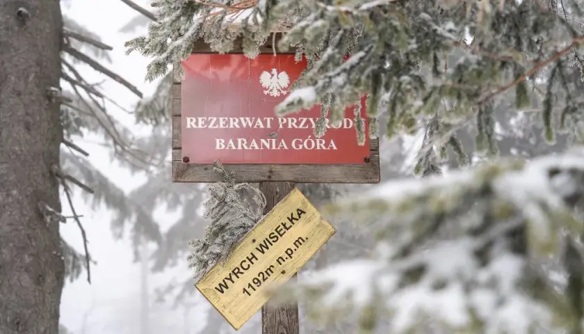 Najlepsze szlaki na Baranią Górę: trudność, czas i atrakcje